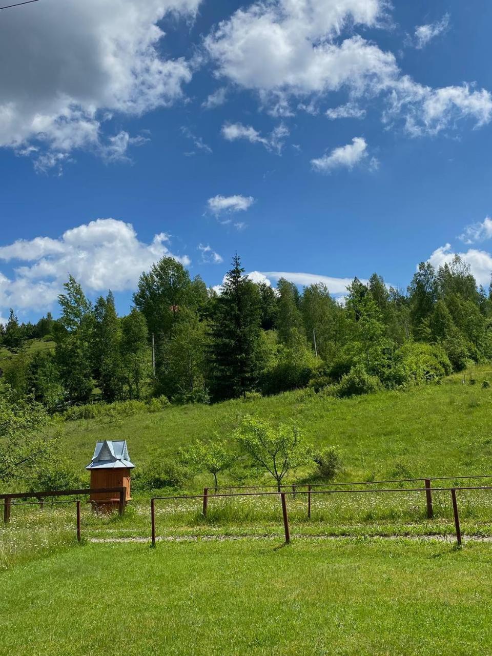 Карпатська Полонина Apartamento Yaremche Exterior foto
